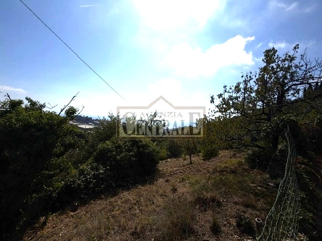 Agenzia Immobiliare Centrale Sanremo